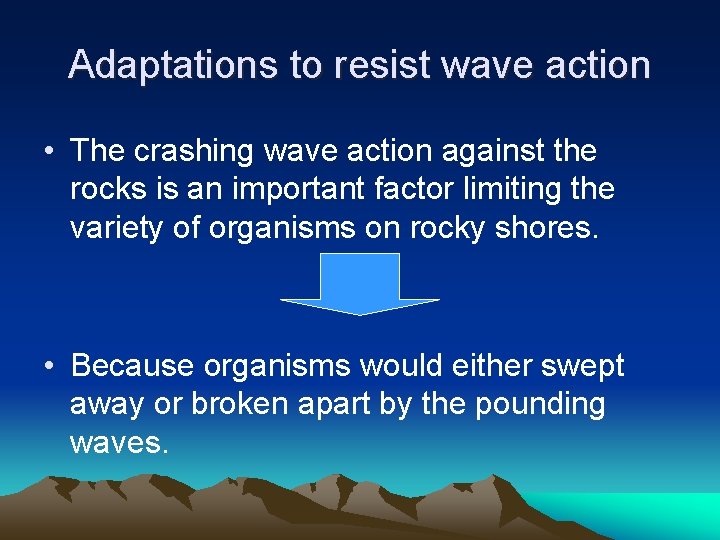 Adaptations of Animals in Rocky Shores Adaptations to