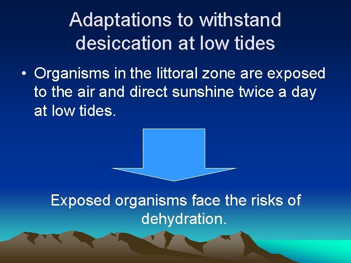 Adaptations of Animals in Rocky Shores Adaptations to