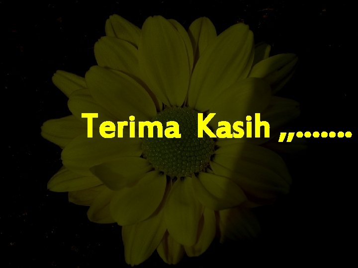 Terima Kasih , , ……. Terima Kasih , , …….