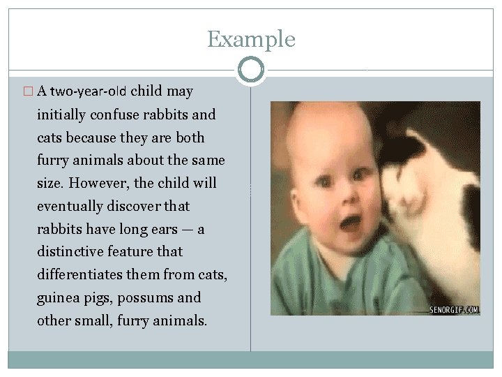 Example � A two-year-old child may initially confuse rabbits and cats because they are Example � A two-year-old child may initially confuse rabbits and cats because they are