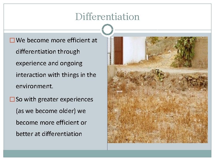 Differentiation � We become more efficient at differentiation through experience and ongoing interaction with Differentiation � We become more efficient at differentiation through experience and ongoing interaction with