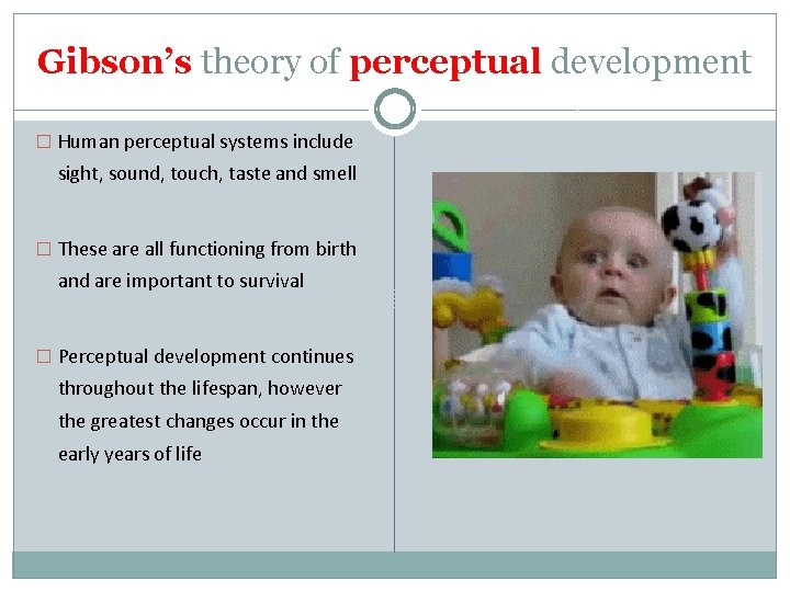 Gibson’s theory of perceptual development � Human perceptual systems include sight, sound, touch, taste Gibson’s theory of perceptual development � Human perceptual systems include sight, sound, touch, taste