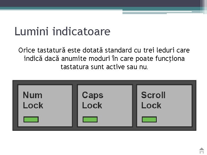 Lumini indicatoare Orice tastatură este dotată standard cu trei leduri care indică dacă anumite