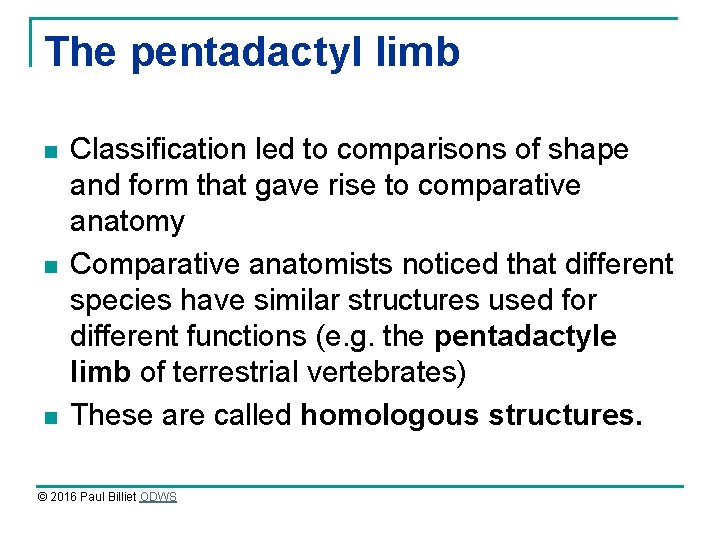 The pentadactyl limb n n n Classification led to comparisons of shape and form