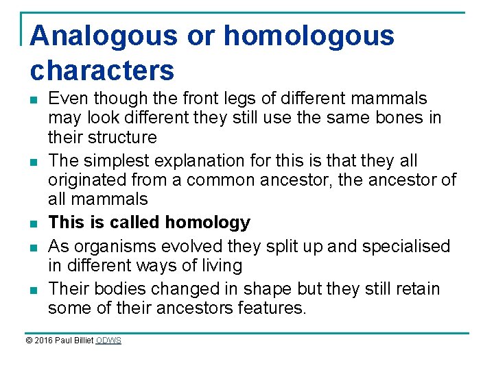 Analogous or homologous characters n n n Even though the front legs of different