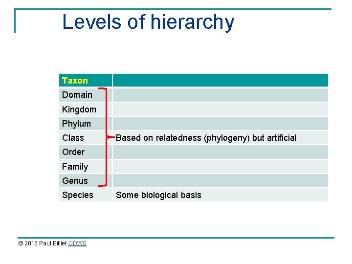 Levels of hierarchy Taxon Domain Kingdom Phylum Class Based on relatedness (phylogeny) but artificial