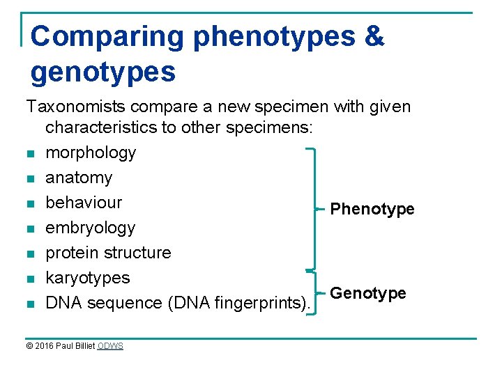 Comparing phenotypes & genotypes Taxonomists compare a new specimen with given characteristics to other