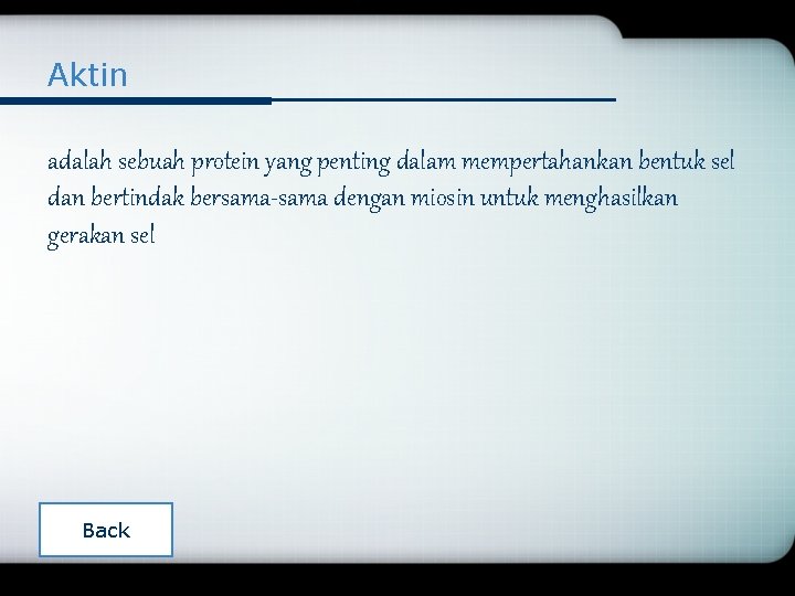 Aktin adalah sebuah protein yang penting dalam mempertahankan bentuk sel dan bertindak bersama-sama dengan