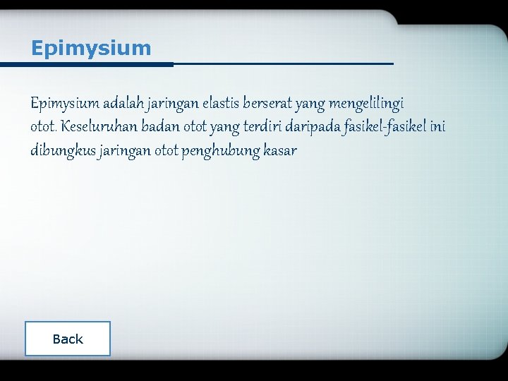 Epimysium adalah jaringan elastis berserat yang mengelilingi otot. Keseluruhan badan otot yang terdiri daripada