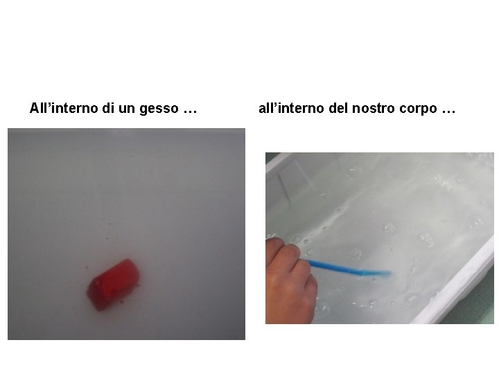 All’interno di un gesso … all’interno del nostro corpo … All’interno di un gesso … all’interno del nostro corpo …