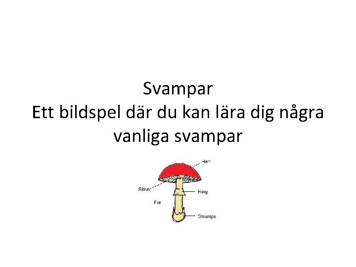 Svampar Ett bildspel där du kan lära dig några vanliga svampar 