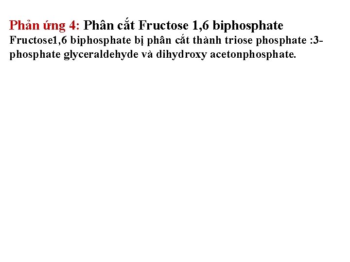 Phản ứng 4: Phân cắt Fructose 1, 6 biphosphate bị phân cắt thành triose Phản ứng 4: Phân cắt Fructose 1, 6 biphosphate bị phân cắt thành triose