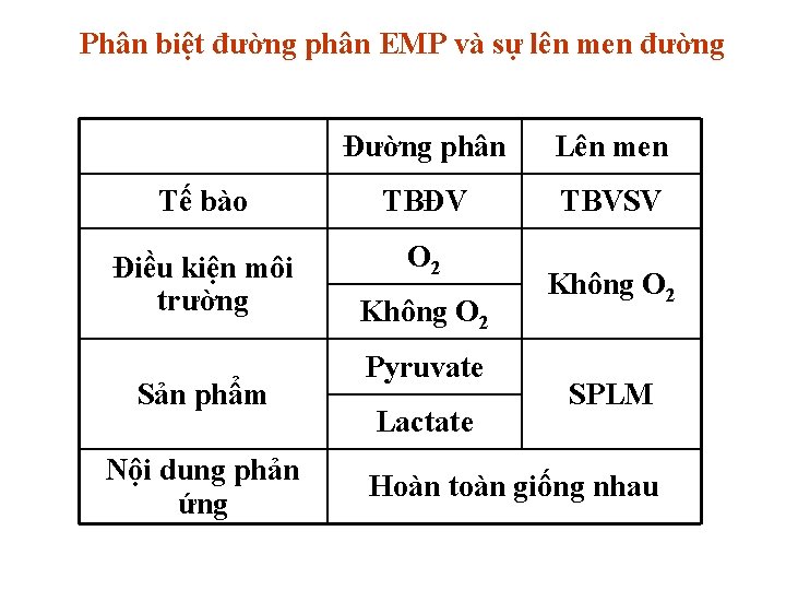 Phân biệt đường phân EMP và sự lên men đường Đường phân Lên men Phân biệt đường phân EMP và sự lên men đường Đường phân Lên men