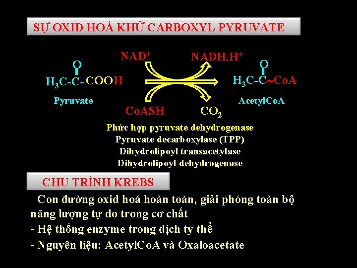 SỰ OXID HOÁ KHỬ CARBOXYL PYRUVATE NAD+ O H 3 C-C- COOH Pyruvate Co. SỰ OXID HOÁ KHỬ CARBOXYL PYRUVATE NAD+ O H 3 C-C- COOH Pyruvate Co.