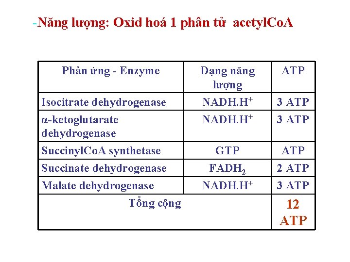 -Năng lượng: Oxid hoá 1 phân tử acetyl. Co. A Phản ứng - Enzyme -Năng lượng: Oxid hoá 1 phân tử acetyl. Co. A Phản ứng - Enzyme