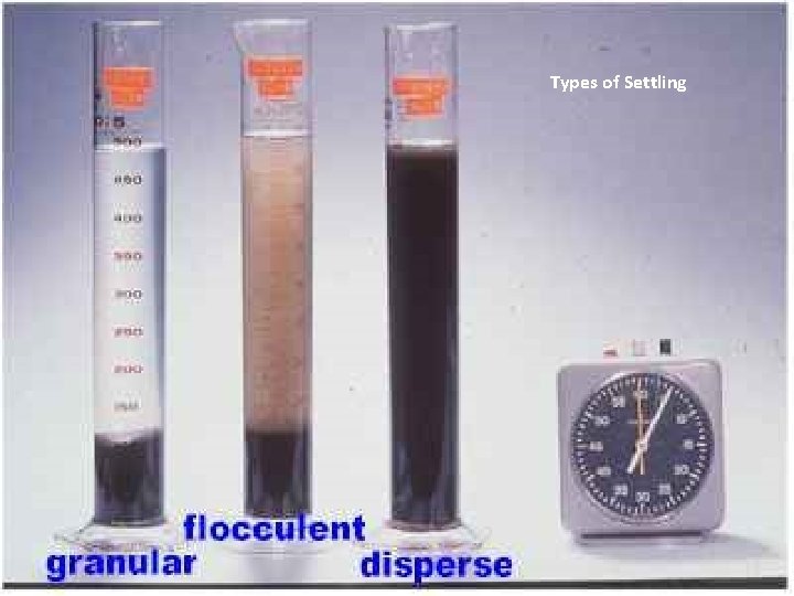 Types of Settling 