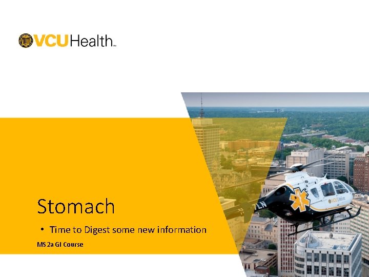 Stomach • Time to Digest some new information MS 2 a GI Course 