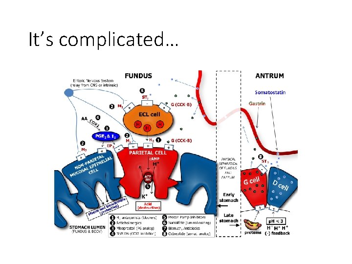 It’s complicated… 