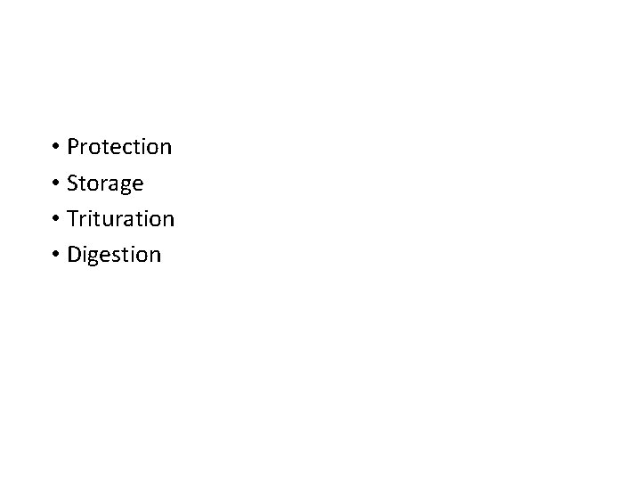  • Protection • Storage • Trituration • Digestion 