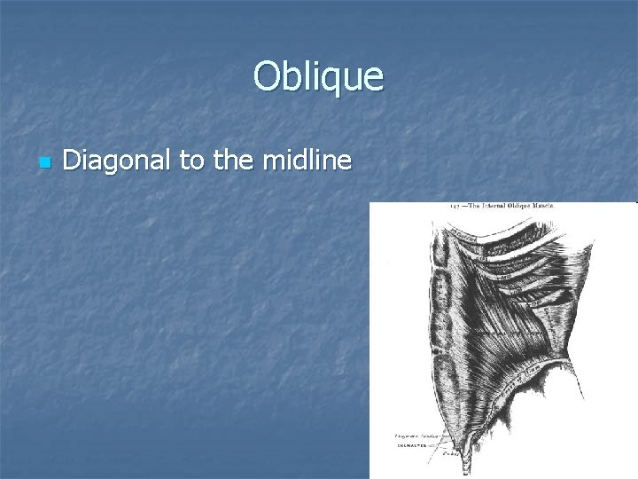 Oblique n Diagonal to the midline 