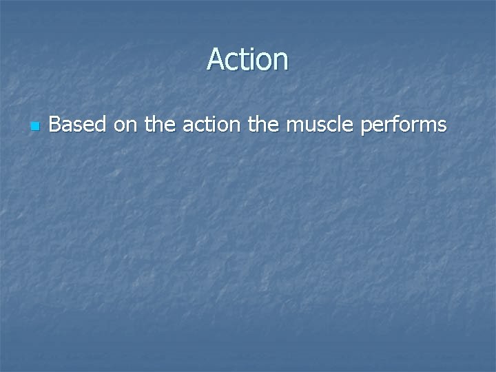 Action n Based on the action the muscle performs 