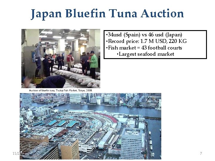 Japan Bluefin Tuna Auction • 34 usd (Spain) vs 46 usd (Japan) • Record