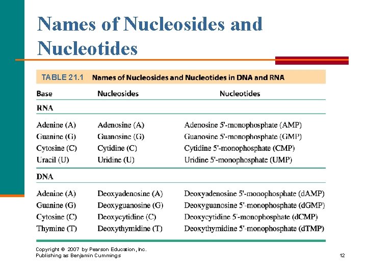 Names of Nucleosides and Nucleotides TABLE 21. 1 Copyright © 2007 by Pearson Education,