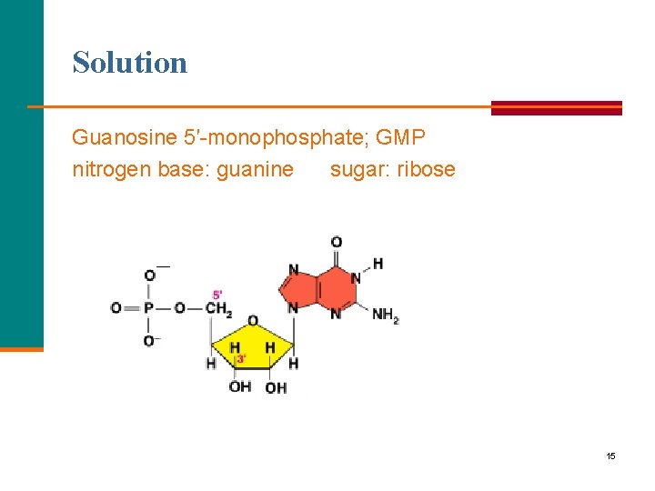 Solution Guanosine 5′-monophosphate; GMP nitrogen base: guanine sugar: ribose 15 