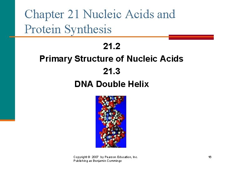 Chapter 21 Nucleic Acids and Protein Synthesis 21. 2 Primary Structure of Nucleic Acids