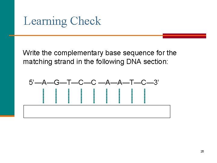 Learning Check Write the complementary base sequence for the matching strand in the following