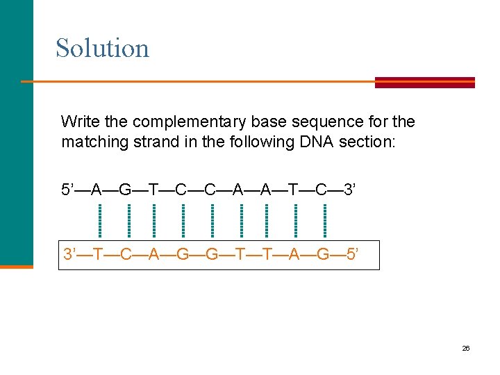 Solution Write the complementary base sequence for the matching strand in the following DNA