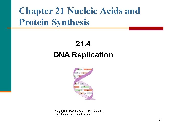 Chapter 21 Nucleic Acids and Protein Synthesis 21. 4 DNA Replication Copyright © 2007