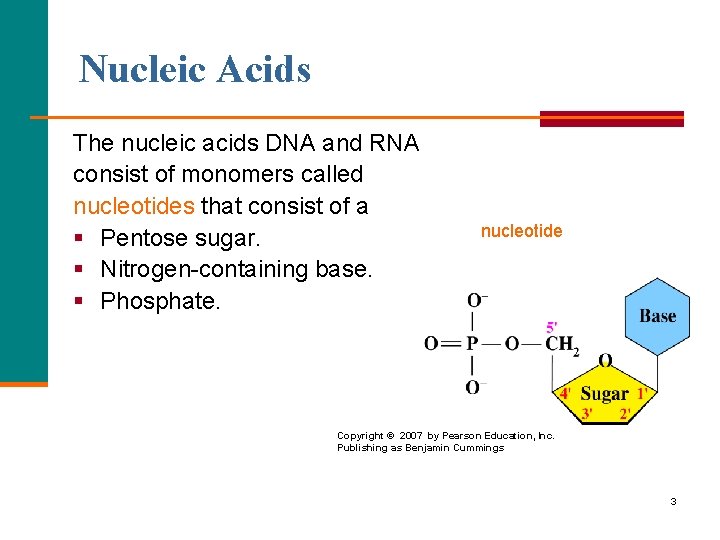 Nucleic Acids The nucleic acids DNA and RNA consist of monomers called nucleotides that