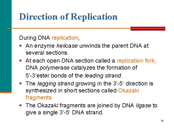 Direction of Replication During DNA replication, § An enzyme helicase unwinds the parent DNA