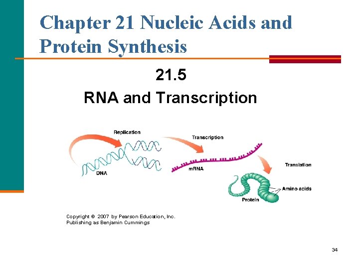 Chapter 21 Nucleic Acids and Protein Synthesis 21. 5 RNA and Transcription Copyright ©