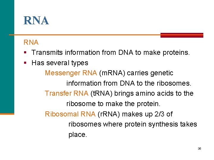 RNA § Transmits information from DNA to make proteins. § Has several types Messenger