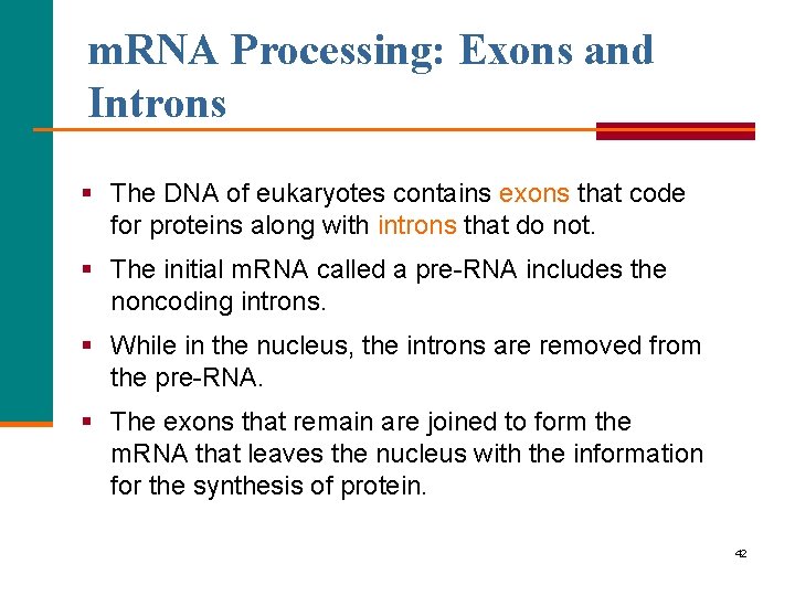 m. RNA Processing: Exons and Introns § The DNA of eukaryotes contains exons that