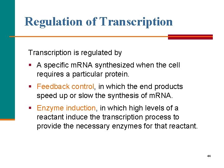 Regulation of Transcription is regulated by § A specific m. RNA synthesized when the