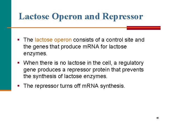 Lactose Operon and Repressor § The lactose operon consists of a control site and