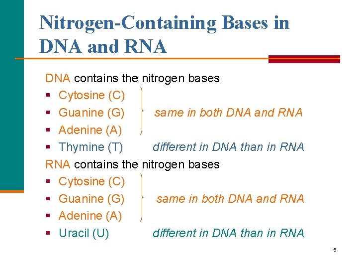 Nitrogen-Containing Bases in DNA and RNA DNA contains the nitrogen bases § Cytosine (C)