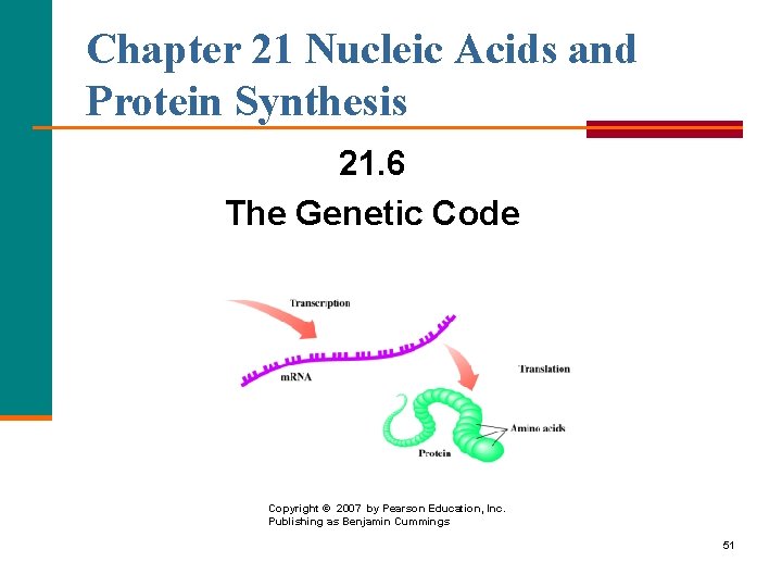 Chapter 21 Nucleic Acids and Protein Synthesis 21. 6 The Genetic Code Copyright ©