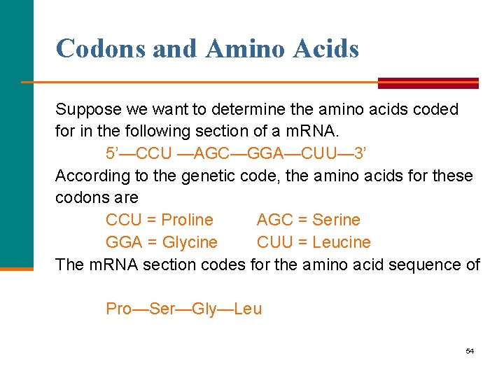 Codons and Amino Acids Suppose we want to determine the amino acids coded for