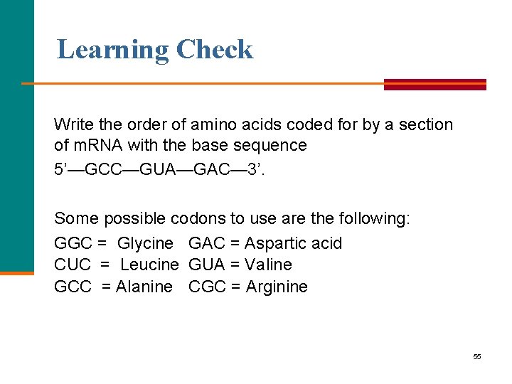 Learning Check Write the order of amino acids coded for by a section of