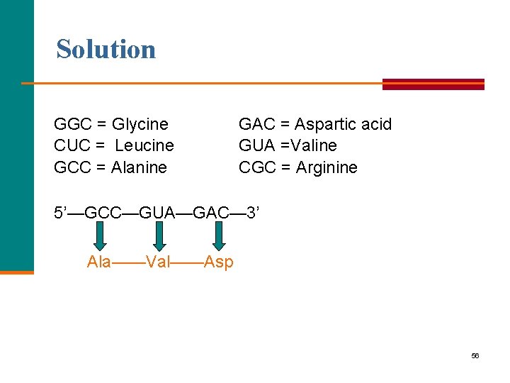 Solution GGC = Glycine CUC = Leucine GCC = Alanine GAC = Aspartic acid