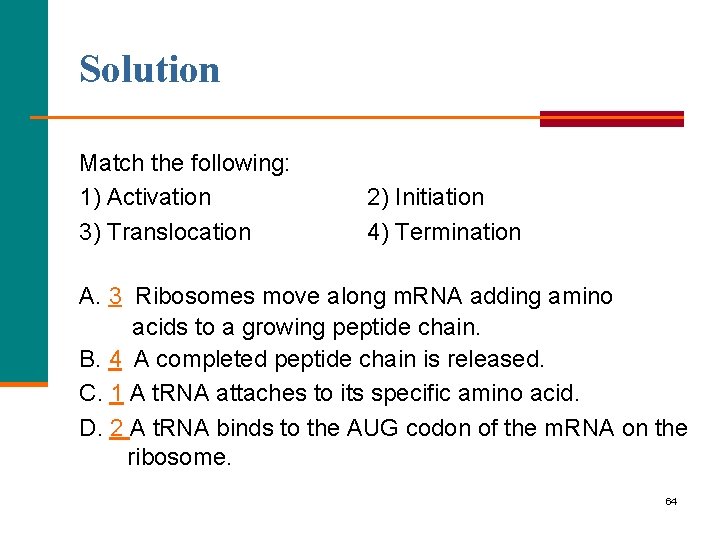 Solution Match the following: 1) Activation 3) Translocation 2) Initiation 4) Termination A. 3