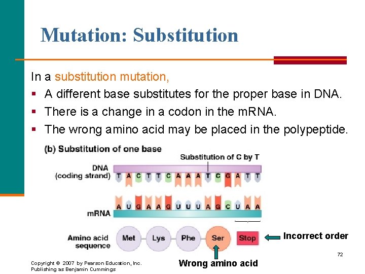 Mutation: Substitution In a substitution mutation, § A different base substitutes for the proper