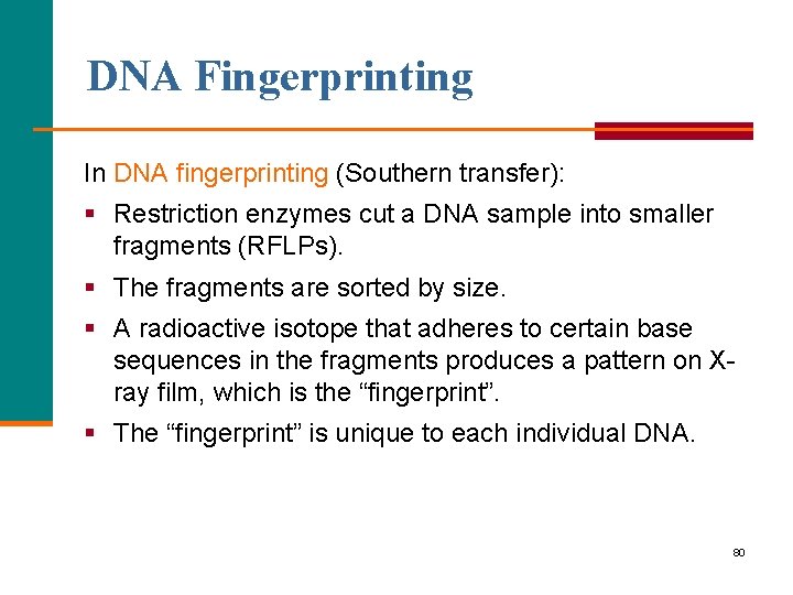 DNA Fingerprinting In DNA fingerprinting (Southern transfer): § Restriction enzymes cut a DNA sample