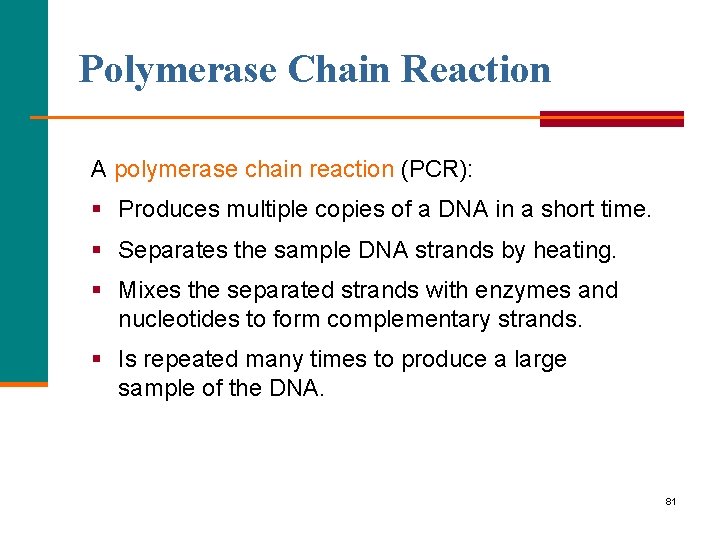 Polymerase Chain Reaction A polymerase chain reaction (PCR): § Produces multiple copies of a