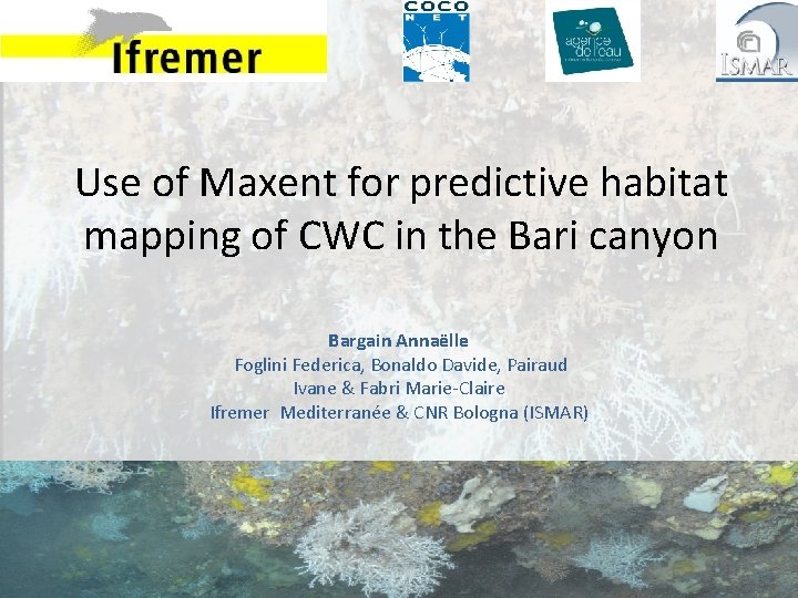 Use of Maxent for predictive habitat mapping of CWC in the Bari canyon Bargain