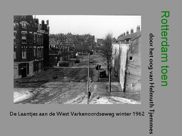 Rotterdam toen door het oog van Helmuth Tjemmes De Laantjes aan de West Varkenoordseweg